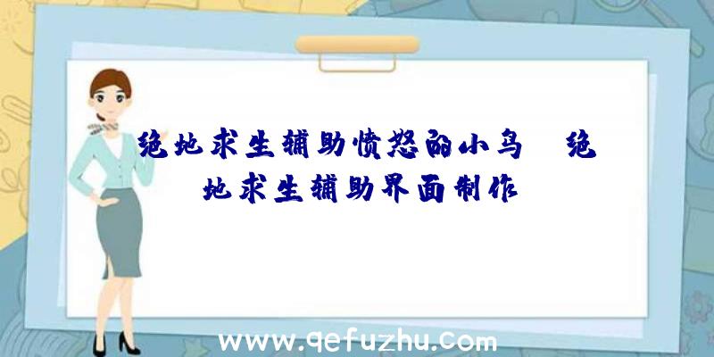 「绝地求生辅助愤怒的小鸟」|绝地求生辅助界面制作